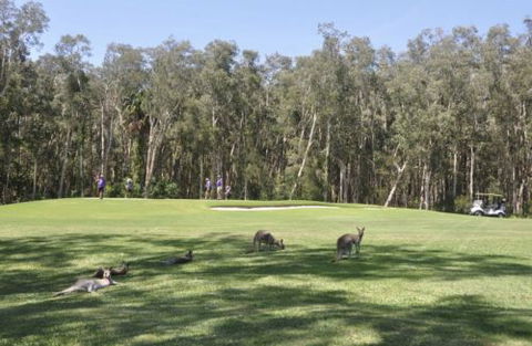 Emerald Downs Golf Course - Surfers Gold Coast 4
