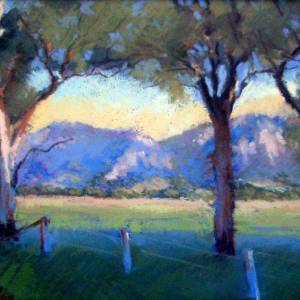 Galleries In The Gardens - Surfers Gold Coast 4