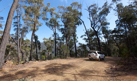 Wadbilliga Road Drive - Surfers Gold Coast 0