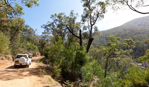 Wadbilliga Road Drive - Surfers Gold Coast 1