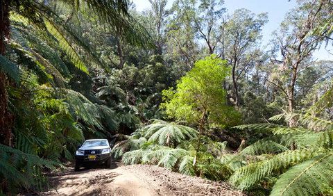 Wadbilliga Road Drive - Surfers Gold Coast 3