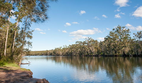 Corramy Regional Park - Surfers Gold Coast 3