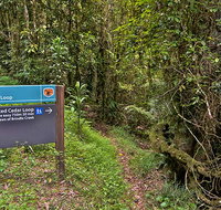 Red Cedar loop - Surfers Gold Coast