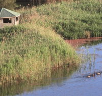 Spring Creek Bird Hide - Surfers Gold Coast