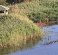 Spring Creek Wetlands Walk - Surfers Gold Coast