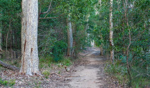 Delta Track - Surfers Gold Coast 0