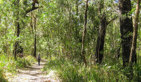 Seven Mile Beach National Park - Surfers Gold Coast 2