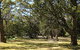 Seven Mile Beach National Park - thumb 3