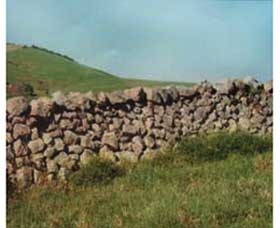 Historic Dry Stone Walls - Surfers Gold Coast 0