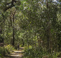 Sand track walk south - Surfers Gold Coast
