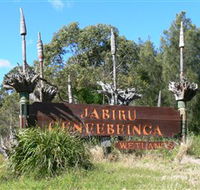 Jabiru Geenbeebeinga Wetlands - Surfers Gold Coast