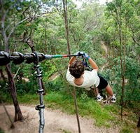 TreeTop Challenge - Surfers Gold Coast