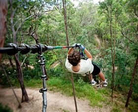 TreeTop Challenge - Surfers Gold Coast 0