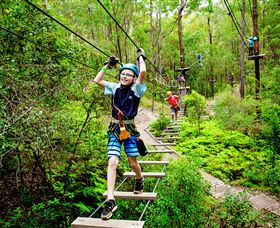 TreeTop Challenge - Surfers Gold Coast 1