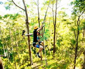 TreeTop Challenge - Surfers Gold Coast 3