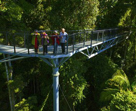 Tamborine Rainforest Skywalk - Surfers Gold Coast 1