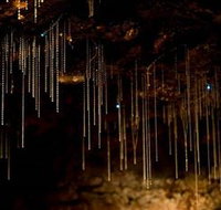 Tamborine Mountain Glow Worm Caves - Surfers Gold Coast