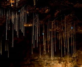 Tamborine Mountain Glow Worm Caves - Surfers Gold Coast 0