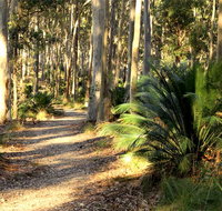 Square Head track 2 - Surfers Gold Coast