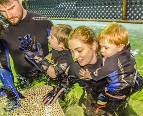 One Mile Beach NSW Surfers Gold Coast
