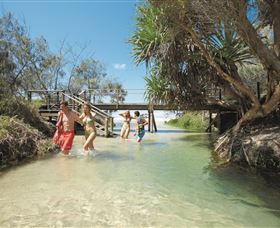 Eli Creek - Surfers Gold Coast 1