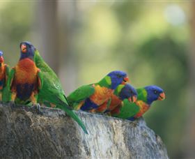 Murrayâ€™s Brewery And Port Stephens Winery - Surfers Gold Coast 3
