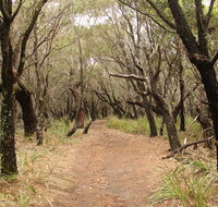 Pretty Beach to Snapper Point walking track - Surfers Gold Coast