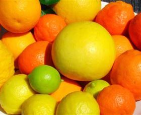 Fruit Salad Tree Company - Surfers Gold Coast 2