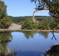 Oak Grove Walk Balingup - Surfers Gold Coast