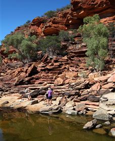 Inland Gorges - Surfers Gold Coast 2