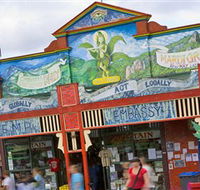 HEMP Embassy - Surfers Gold Coast