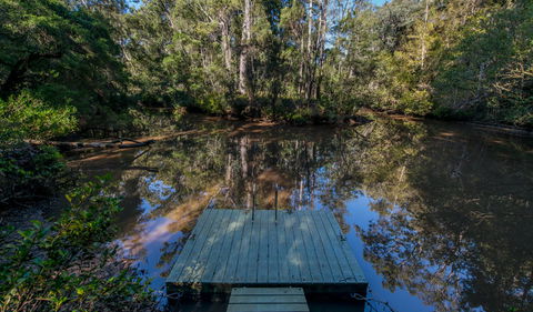 Brimbin Nature Reserve - Surfers Gold Coast 0