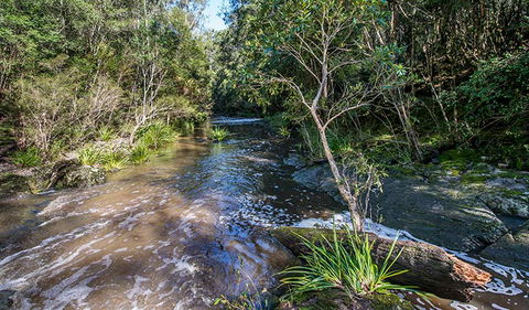 Brimbin Picnic Area - Surfers Gold Coast 2