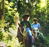 Clarendon Forest Retreat Horse Riding - Surfers Gold Coast
