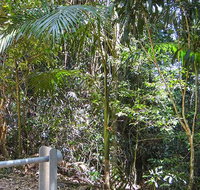 Goorgana walking track - Surfers Gold Coast