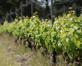 Barton Jones Wines - Surfers Gold Coast 2