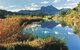 Wollumbin-Mount Warning National Park - thumb 1