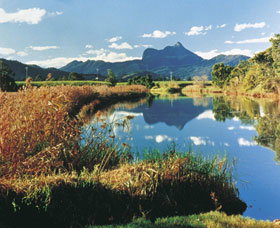 Wollumbin-Mount Warning National Park - Surfers Gold Coast 1