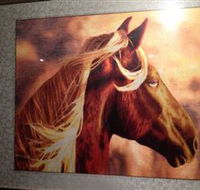 Silk Art Gallery - Surfers Gold Coast