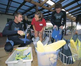 Dolphin Discovery Centre - Surfers Gold Coast 1