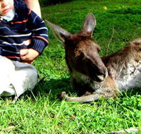 Bunbury Wildlife Park - Surfers Gold Coast