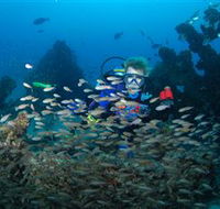 Aarhus Dive Site - Surfers Gold Coast