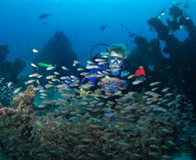 Aarhus Dive Site - Surfers Gold Coast 0