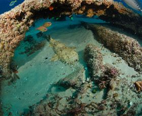 Aarhus Dive Site - Surfers Gold Coast 3