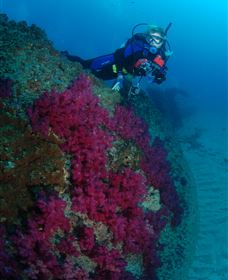 Aarhus Dive Site - Surfers Gold Coast 2