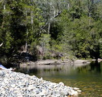 Mount Boss State Forest - Surfers Gold Coast