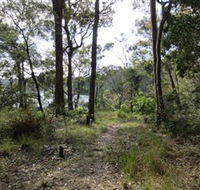 Ringlands Rotary Walk Narooma - Surfers Gold Coast