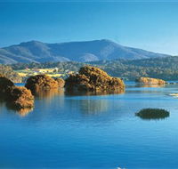 Wagonga Picnic Area - Surfers Gold Coast