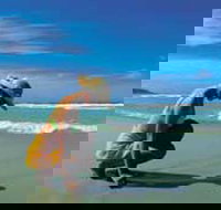 Diamond Beach - Surfers Gold Coast