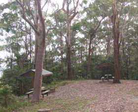Orara East State Forest - Surfers Gold Coast 2
